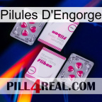 Engorge Pills 33